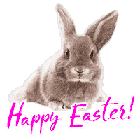 Happy Bunny Sticker by Segmüller Möbel