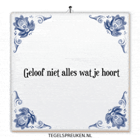 Reflectie Afleiding GIF by Tegelspreuken.nl