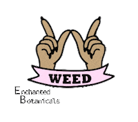 Nm Newmexico Sticker by Sinners Vice Lashes