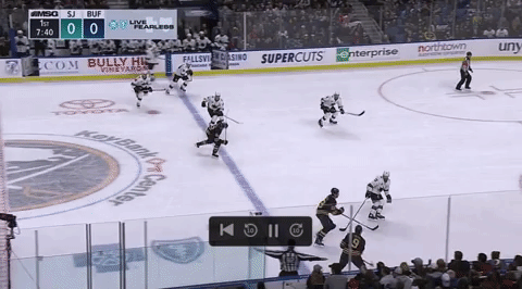 hockey sabres GIF
