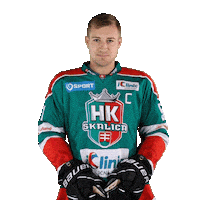 tiposshl sport hockey hokej shl Sticker