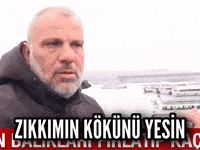Vegan Balık GIF