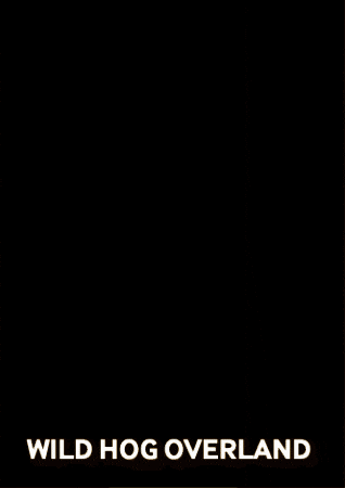 Wild Hog GIF by Wild Hog Overland
