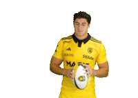 Rugby Sticker by Stade Rochelais