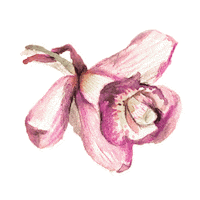 imdaphne love art flower live Sticker