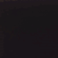 donald trump election GIF by Super Deluxe