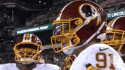 2018 Nfl Football GIF by NFL