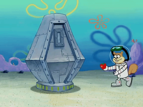 season 4 GIF by SpongeBob SquarePants