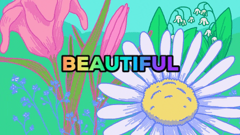 whoisrussell giphygifmaker giphyattribution flower delivery in singapore GIF