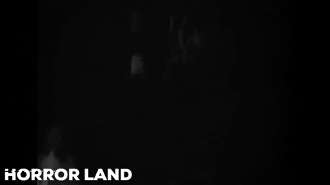horrordotland giphygifmaker horror the blair witch project GIF