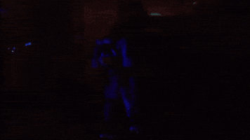 Nuggets Mascot Faints