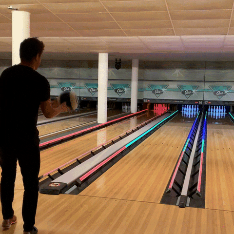 GIF by Claus Park Collection