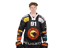 Scb Sticker by SC Bern