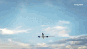 viceland GIF by MOST EXPENSIVEST