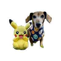 Pokemon Tamagotchi Sticker by Geekster Pets