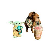 Coffee Starbucks Sticker by Geekster Pets