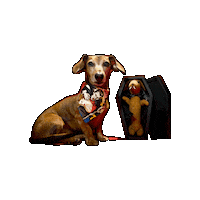 Vampire Dog Sticker by Geekster Pets