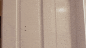 donovan wolfington GIF by Topshelf Records