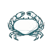LouisianasCajunBayou louisiana bayou cajun thibodaux Sticker