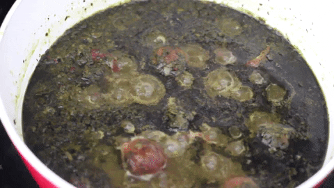 rashn giphyupload ghormeh sabzi GIF