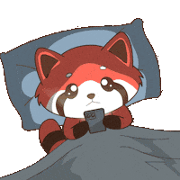 Good Night Sleep Sticker