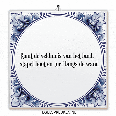 Humor Nl GIF by Tegelspreuken.nl