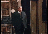 Green Bay Packers GIF by MANGOTEETH