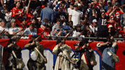 Football Nfl GIF by New England Patriots