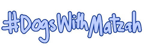 Sticker Passover Sticker by Alma