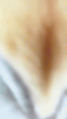 Comedy Stan GIF by Youtooz