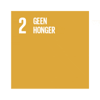 Sdg Sticker by Ten Stripes