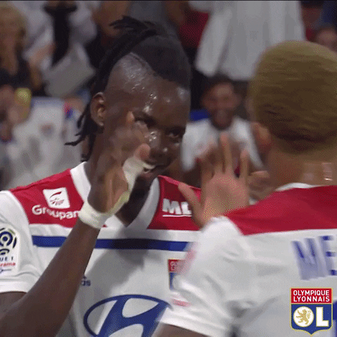 goal lyon GIF by Olympique Lyonnais