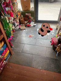 bushwickbark bushwickbark GIF