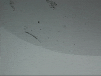 Education Biology GIF by DIIMSA Stock