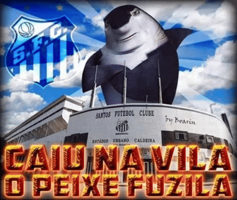 Seria A Santos Fc GIF