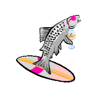 Nordbad sunset see lake bavaria Sticker