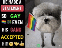 Dog Gang GIF