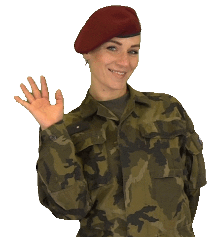 armadaceskerepubliky giphyupload smile hello hi Sticker