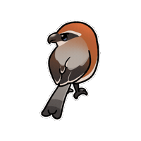 Bird 鳥 Sticker