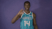 Nba Buzz City GIF by Charlotte Hornets