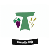 Comunidad Valenciana Flag Sticker by Formación Ninja