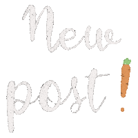 aelabreizh instagram new post procreate carrot Sticker