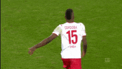 1 Fc Cologne Yes GIF by 1. FC Köln