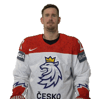 Celebration Hockey Sticker by Národní tým