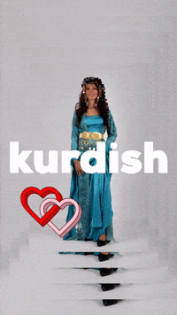 Kurdistan Kurd GIF