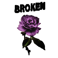 rose flower Sticker by Broken Promises
