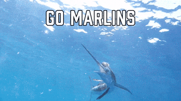 Go Marlins