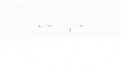 sonomusicgroup music record label logo reveal sono music group GIF