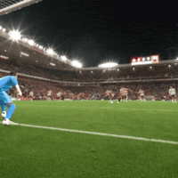 Arsenal Sunderland GIF by memes