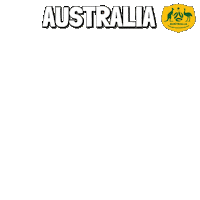World Cup Football Sticker by Pudgy Penguins